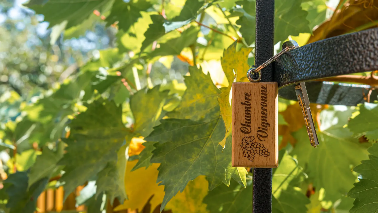 Plaquette en bois suspendue à un support noir avec l'inscription "Chambre d'hôtes Vigneronne" et une illustration de grappes de raisin, entourée de feuillage vert